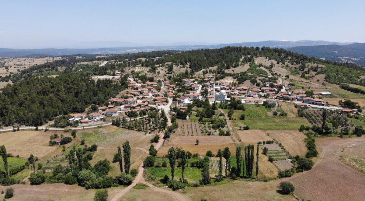 Bursa'da meyve ve sebzelerin bedava dağıtıldığı tarla