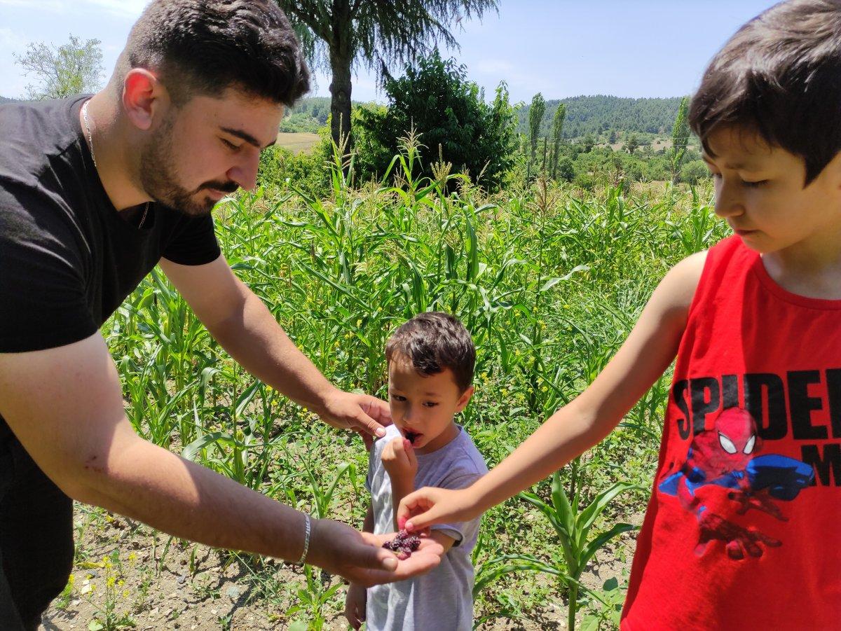 Bursa'da meyve ve sebzelerin bedava dağıtıldığı tarla