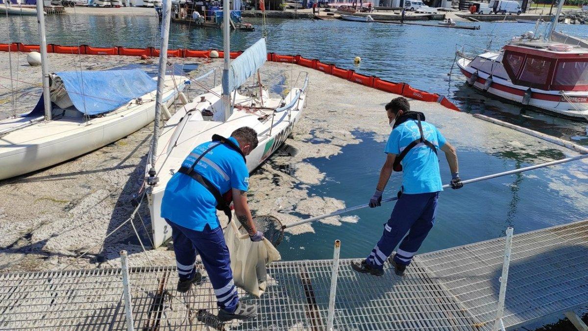 Doç. Dr. Mustafa Yücel: Yeni bir müsilaj patlaması beklemiyoruz