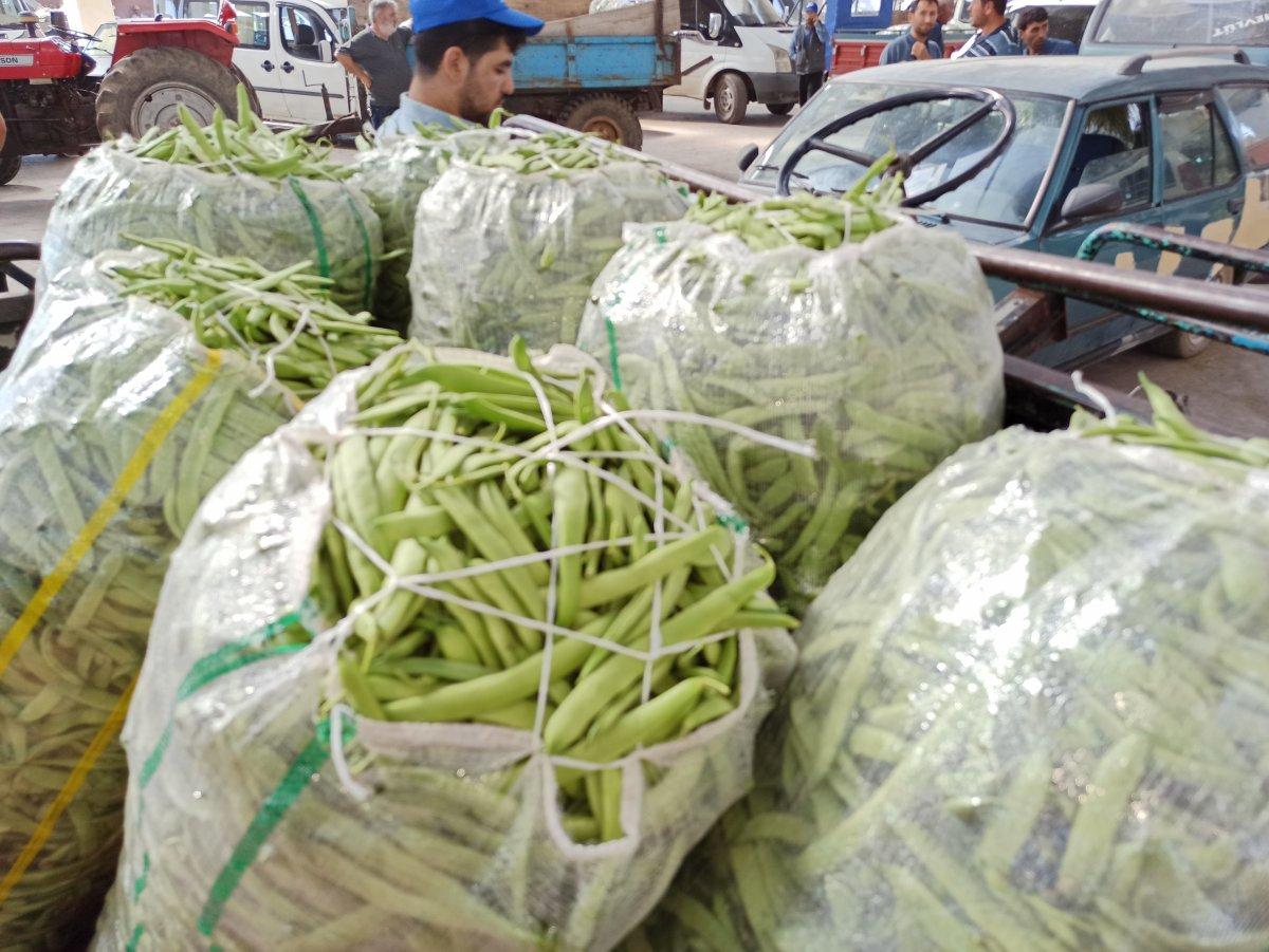 Fasulye üreticisi fiyatların düşmesine üzgün