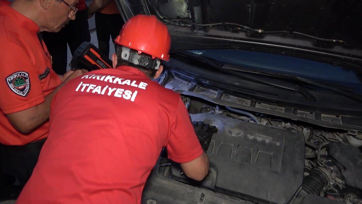 Kırıkkale'de balkondan düşen kedisi için dakikalarca gözyaşı döktü