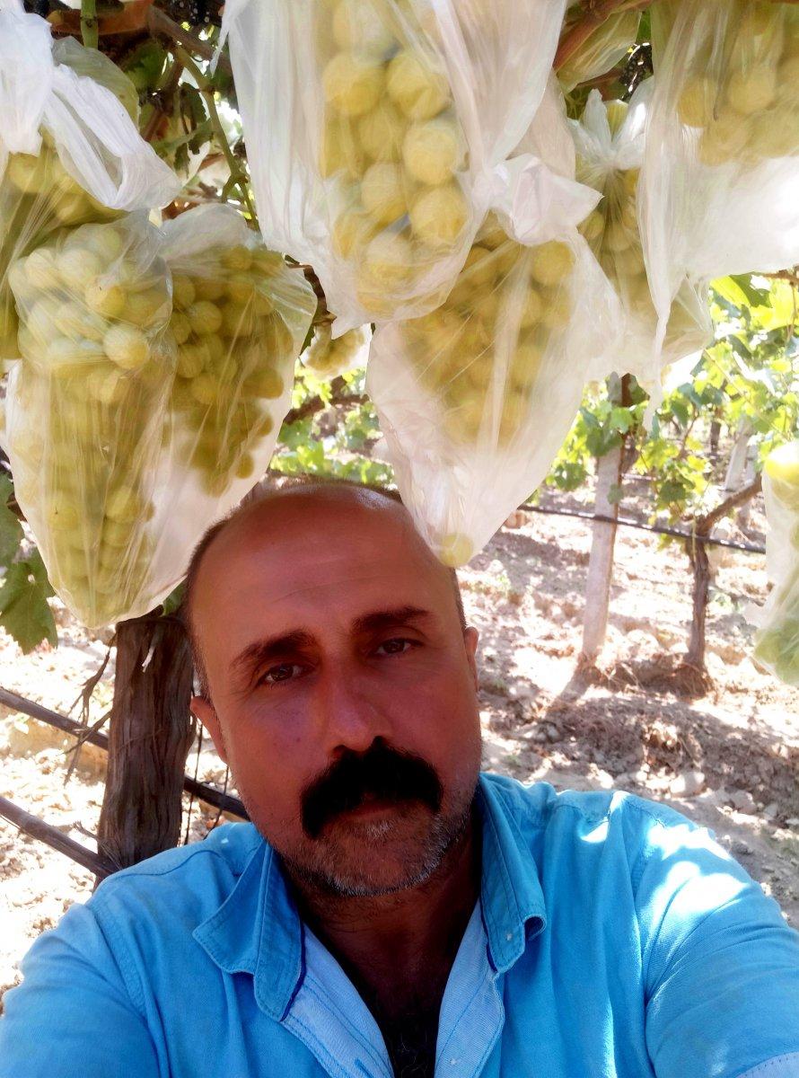 Manisa'da bir çiftçi 4 bin salkım üzümü çöp poşetleriyle kapladı