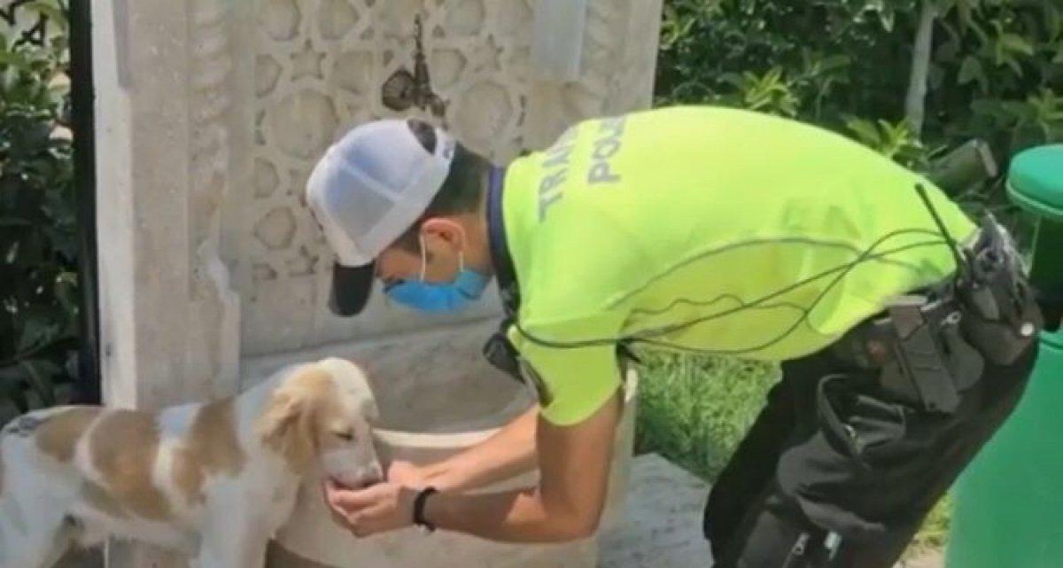 Antalya’da trafik polisinden yüreklere dokunan hareket