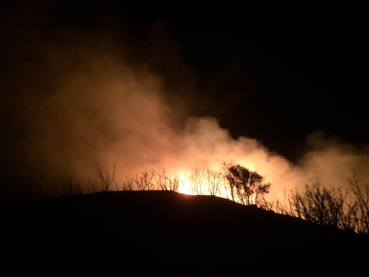 Muğla'da 10 hektarlık alanda yangın çıktı