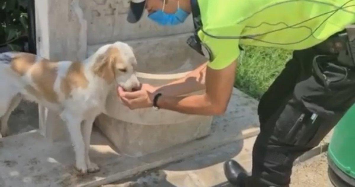Antalya’da trafik polisinden yüreklere dokunan hareket