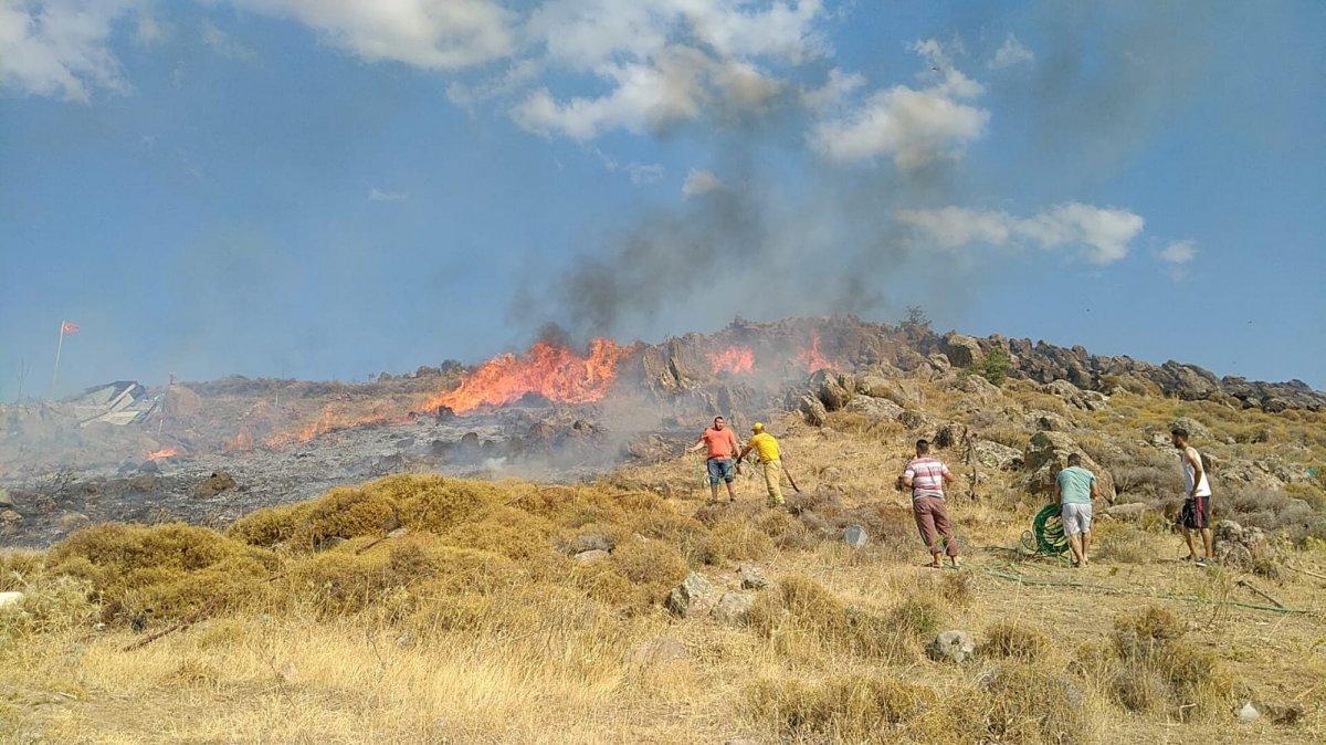 İzmir'de izmarit yangını 18 dönümlük araziyi küle çevirdi