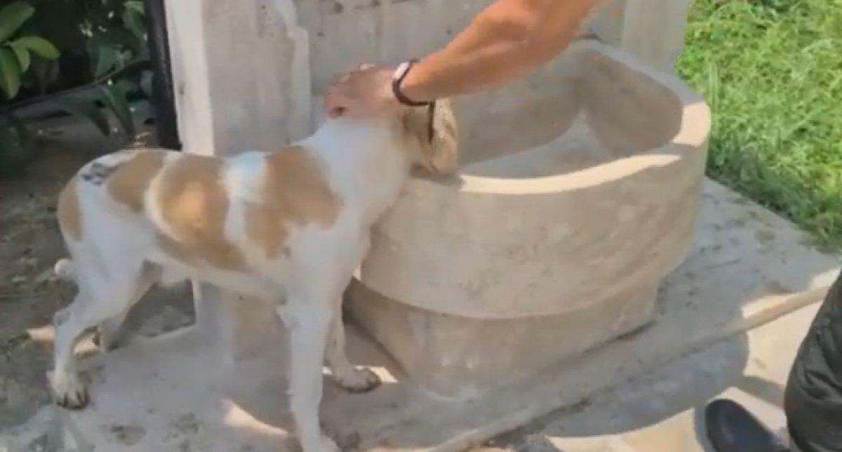 Antalya’da trafik polisinden yüreklere dokunan hareket