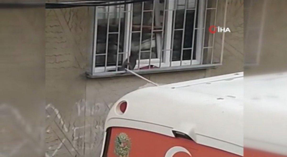Avcılar’da pencereye sıkışan kedi yaşamını yitirdi
