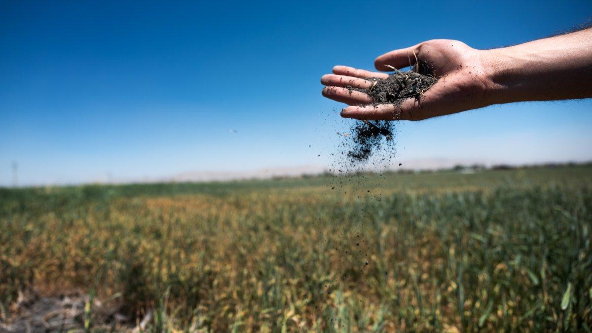 Ardahan'daki kuraklıkta eski yöntemler devreye girdi