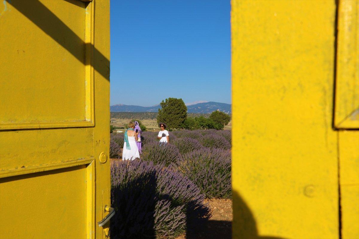 Isparta'ya lavanta vadisi kuruluyor
