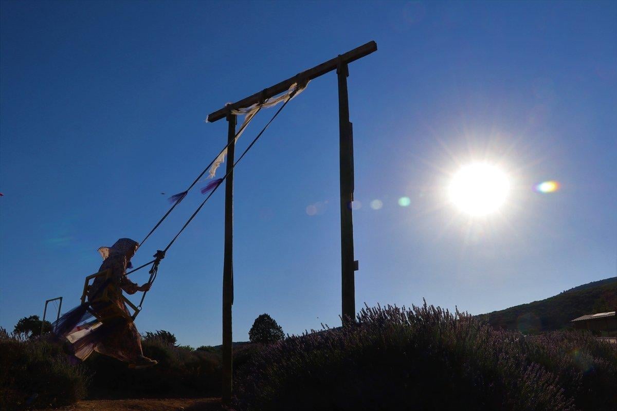 Isparta'ya lavanta vadisi kuruluyor