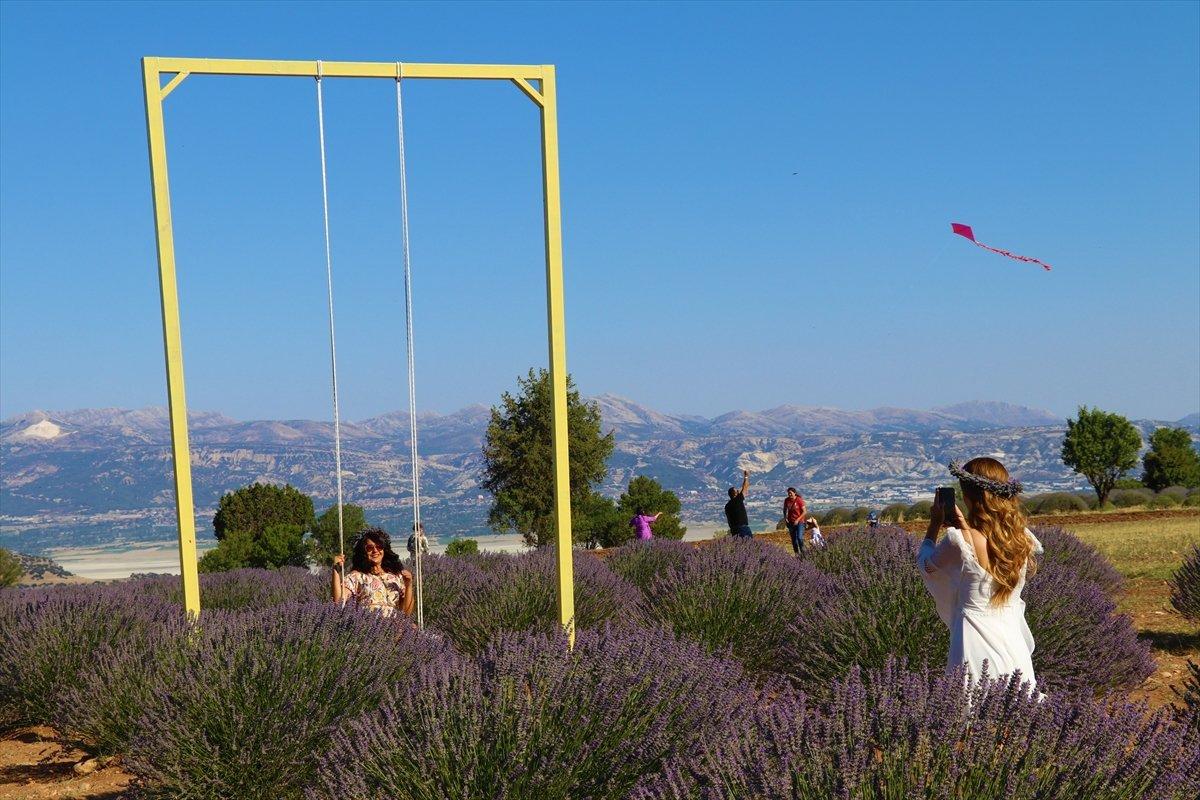 Isparta'ya lavanta vadisi kuruluyor
