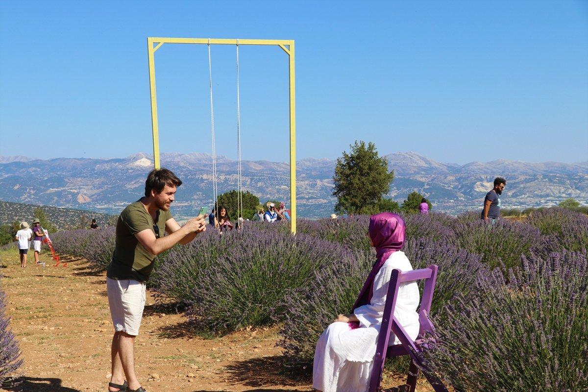 Isparta'ya lavanta vadisi kuruluyor