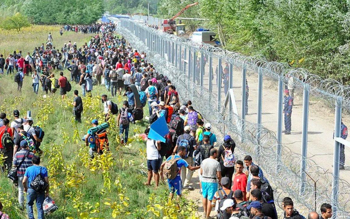 Avusturya hükümeti, kaçak göçmenlere karşı önlem aldı