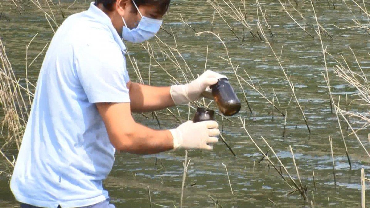 Alibeyköy Barajı'nda balık ölümleri sonrası yetkililer sudan numune aldı