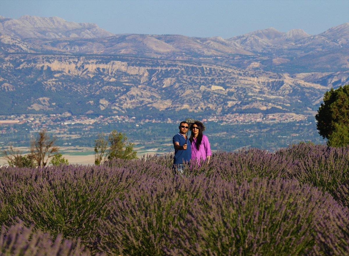 Isparta'ya lavanta vadisi kuruluyor