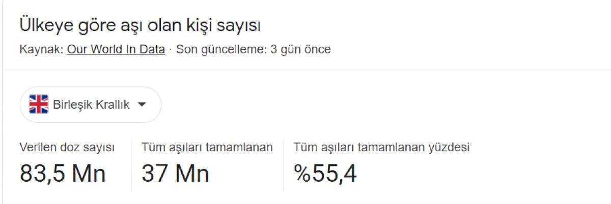 İngiltere ve Brezilya'daki koronavirüs bilançosu