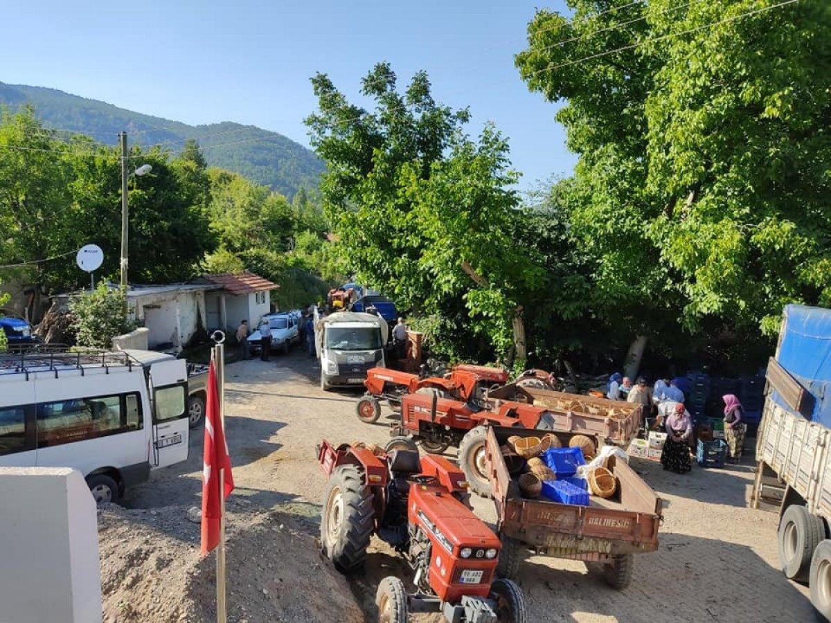 Kiraz üretimi yüz güldürdü