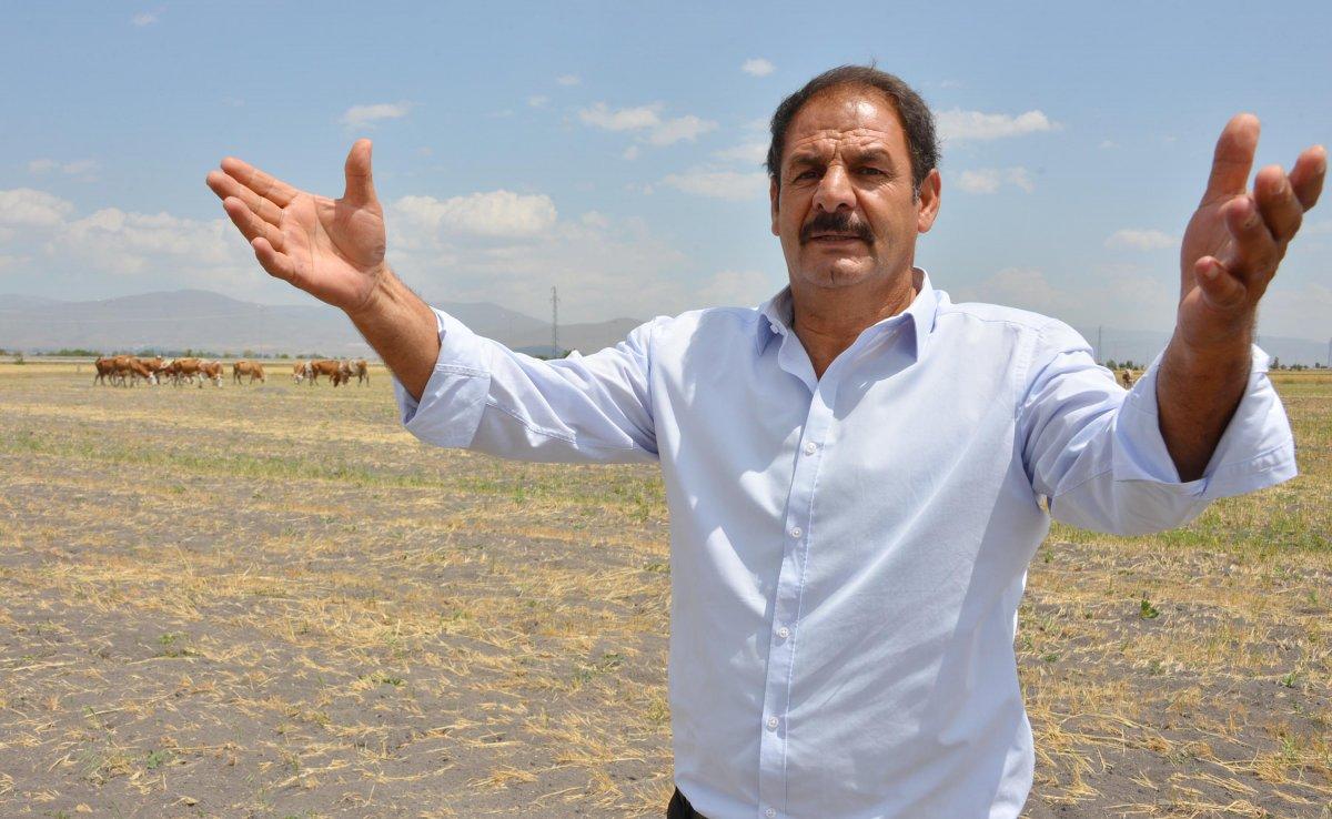 Erzurum'da çoban sıkıntısı: 7 bin lirayı beğenmiyorlar