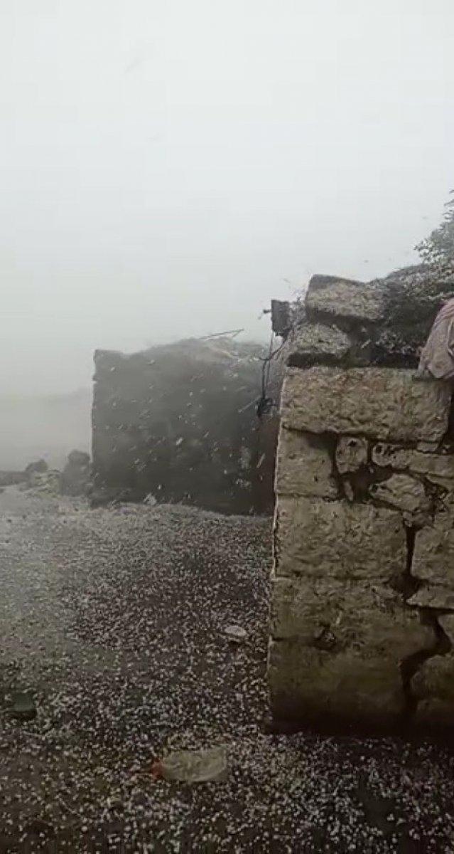 Kars’ta dolu ekili alanlara zarar verdi