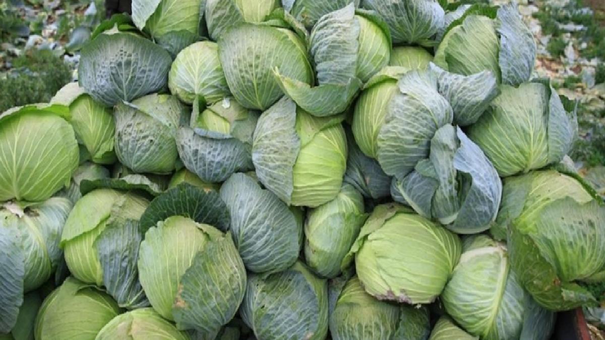 Karaciğeri temizleyen 10 besin