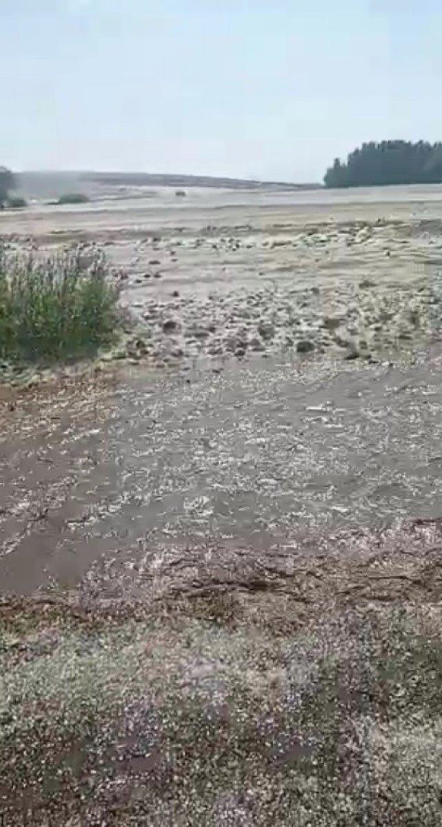Kars’ta dolu ekili alanlara zarar verdi