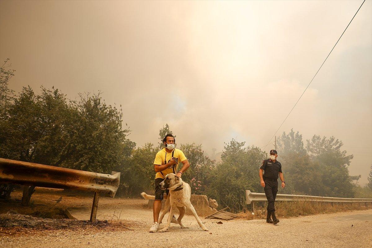 Manavgat'ta yangından etkilenenlerin sayısı belli oldu