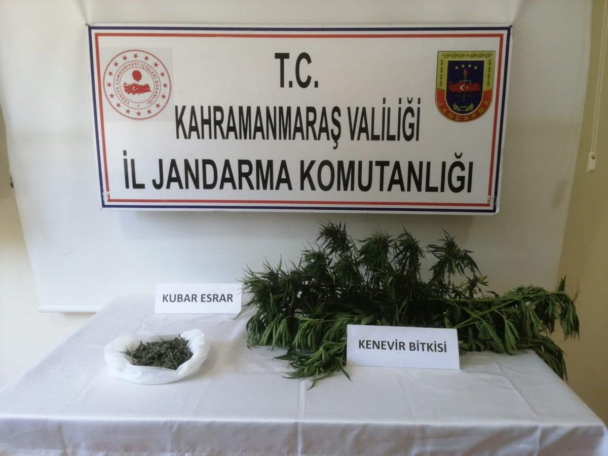Kahramanmaraş’ta Hint keneviri ve kubar esrar ele geçirildi