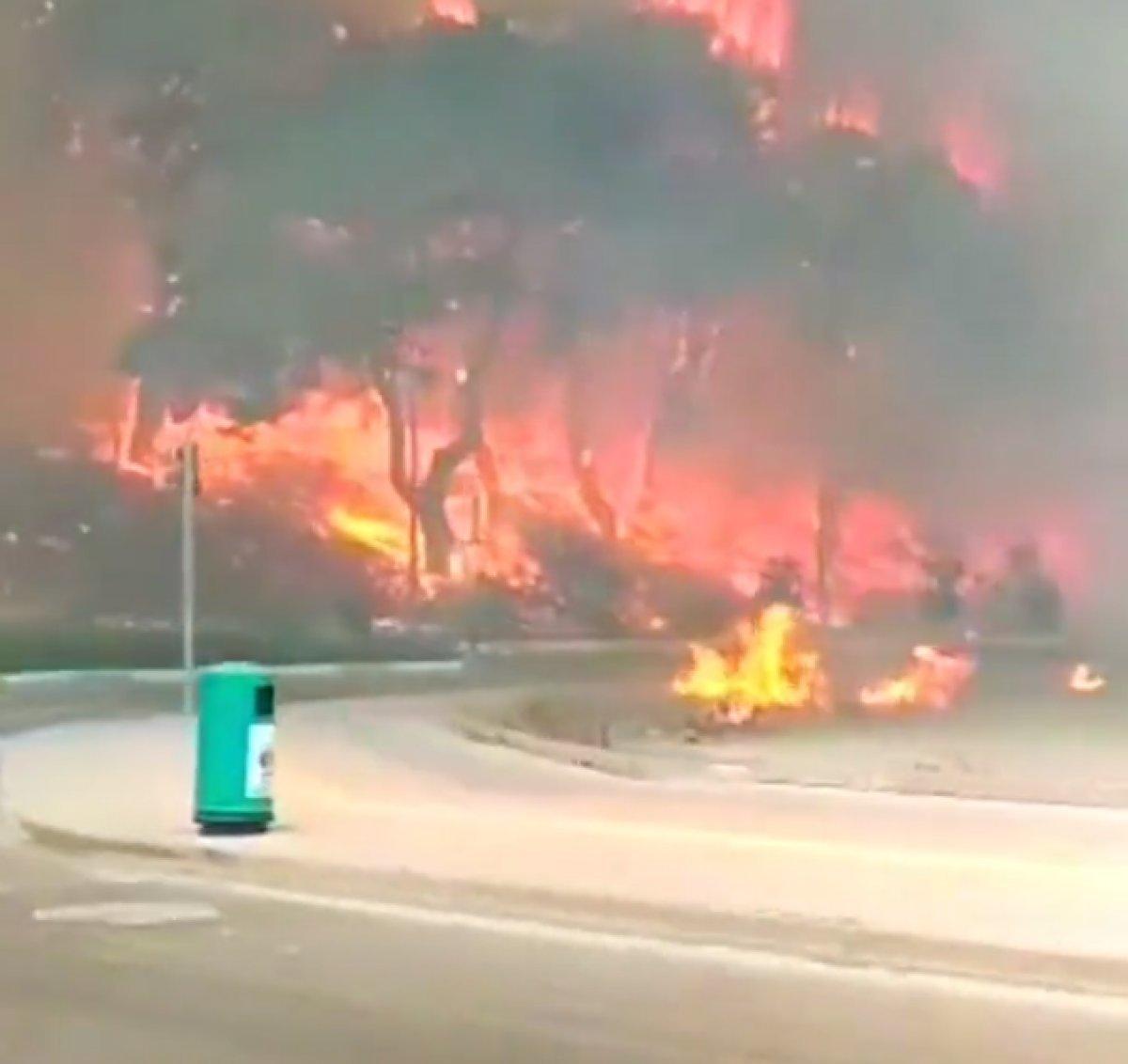 Manavgat Belediye Başkanı Şükrü Sözen: Yangın Manavgat merkeze sıçradı