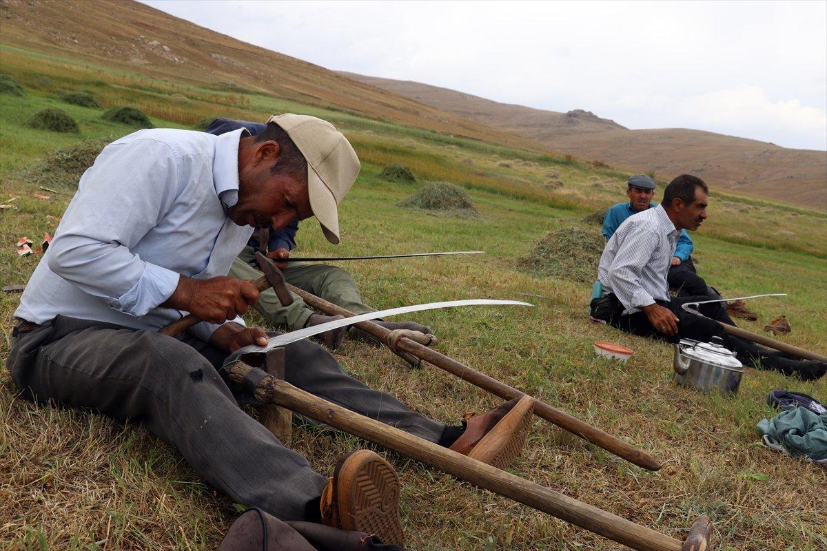 Ağrı'da çiftçiler, asırlık tırpan usulüyle hayvanları için ot biçiyor