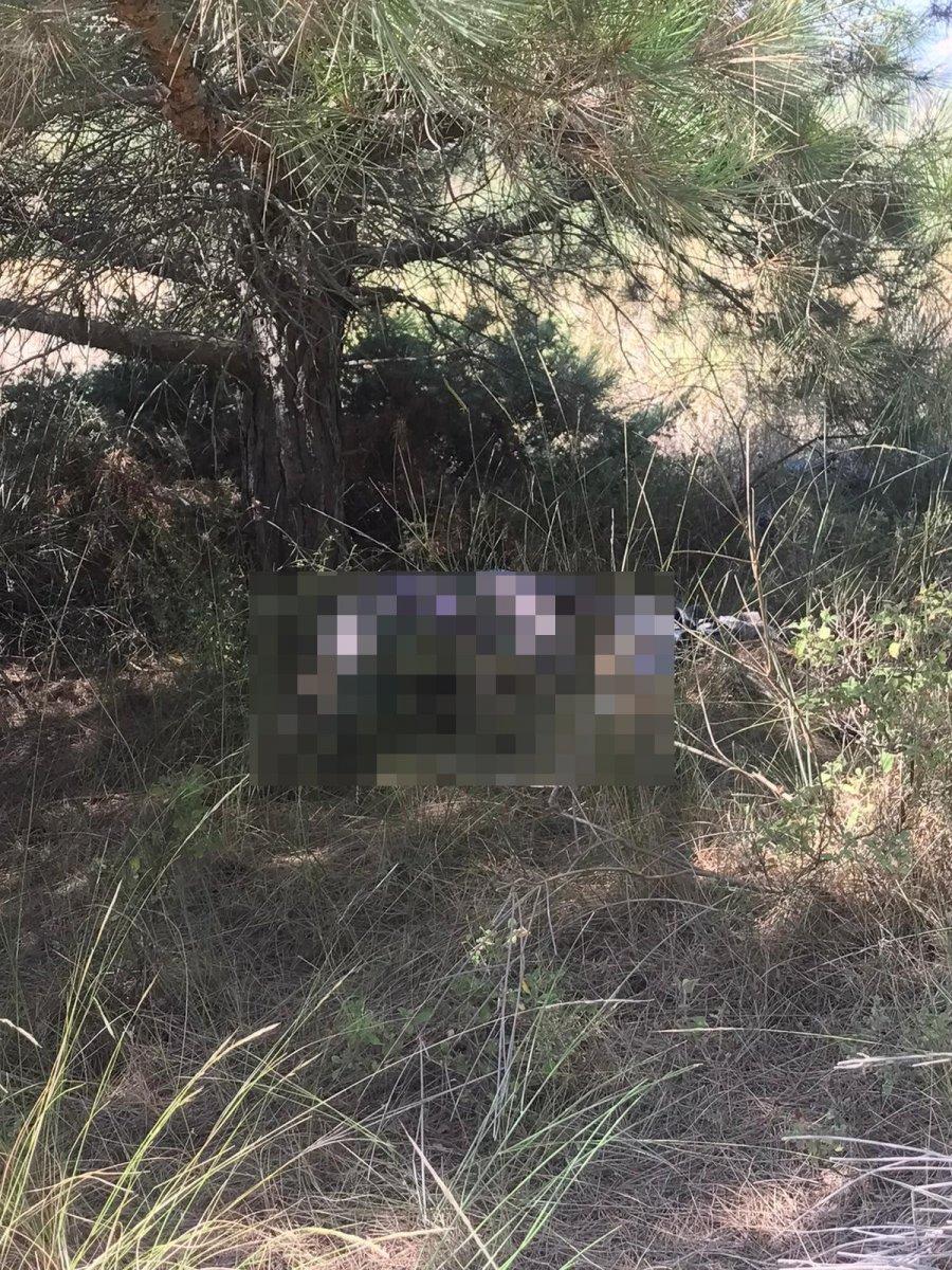 Tekirdağ'da ‘bugün beni beklemeyin’ diyen yaşlı adam mezarlıkta ölü bulundu