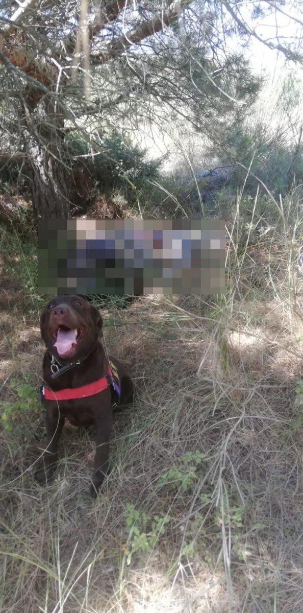 Tekirdağ'da ‘bugün beni beklemeyin’ diyen yaşlı adam mezarlıkta ölü bulundu