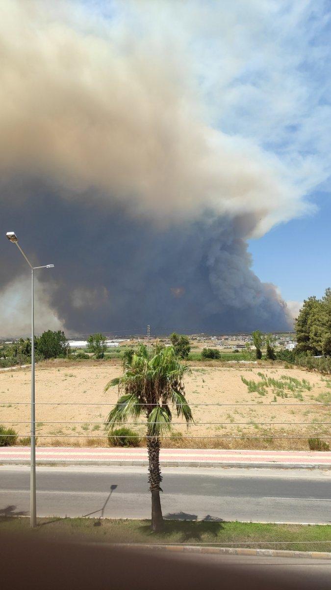 Manavgat'ta orman yangını çıktı