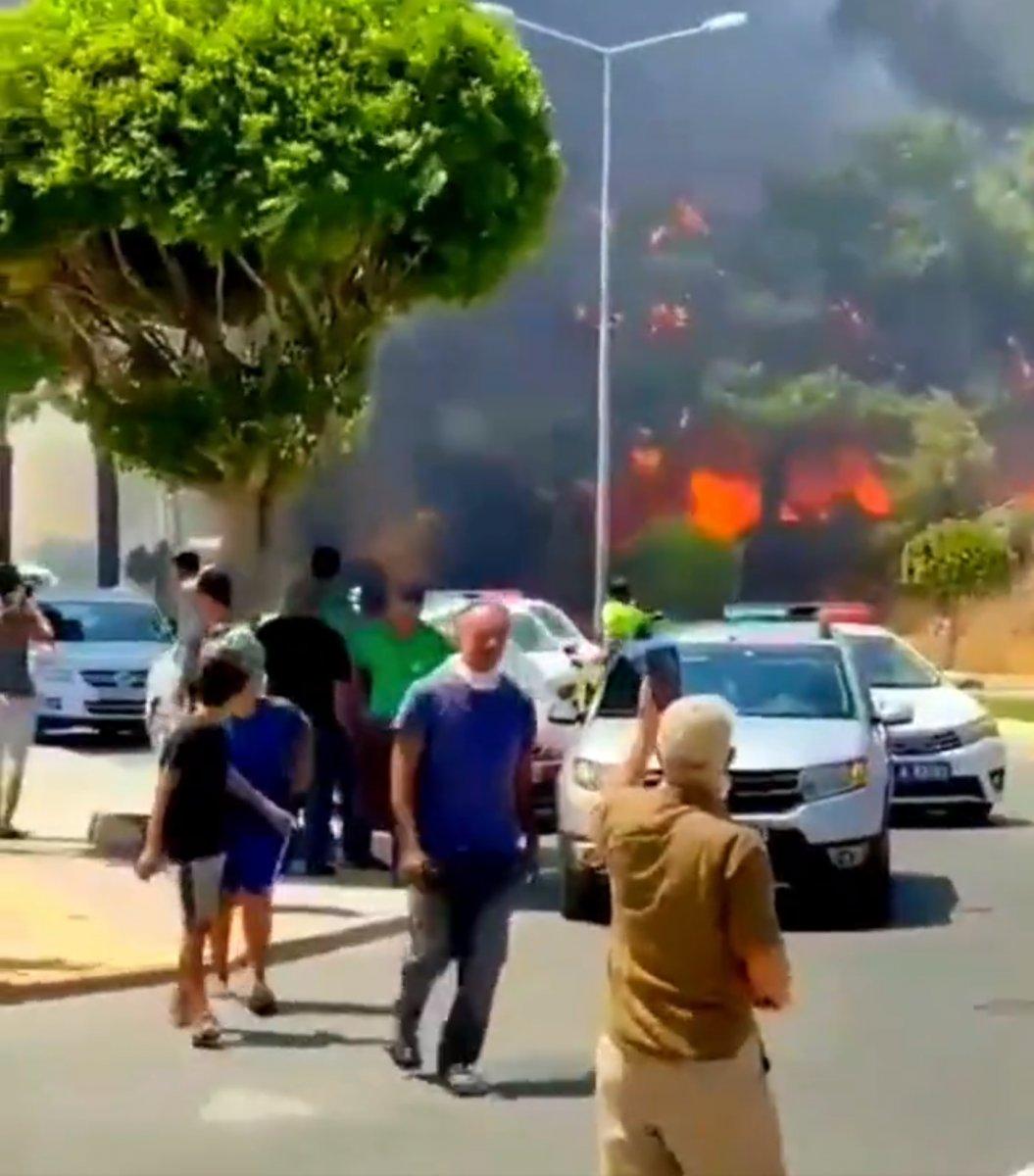 Manavgat'taki orman yangını, evlere sıçradı