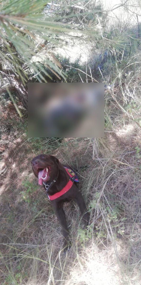 Tekirdağ'da ‘bugün beni beklemeyin’ diyen yaşlı adam mezarlıkta ölü bulundu