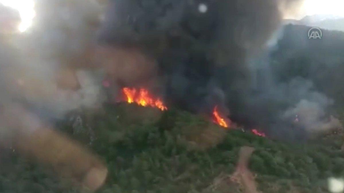 Fahrettin Altun: Yangınlarla ilgili soruşturma başlatıldı