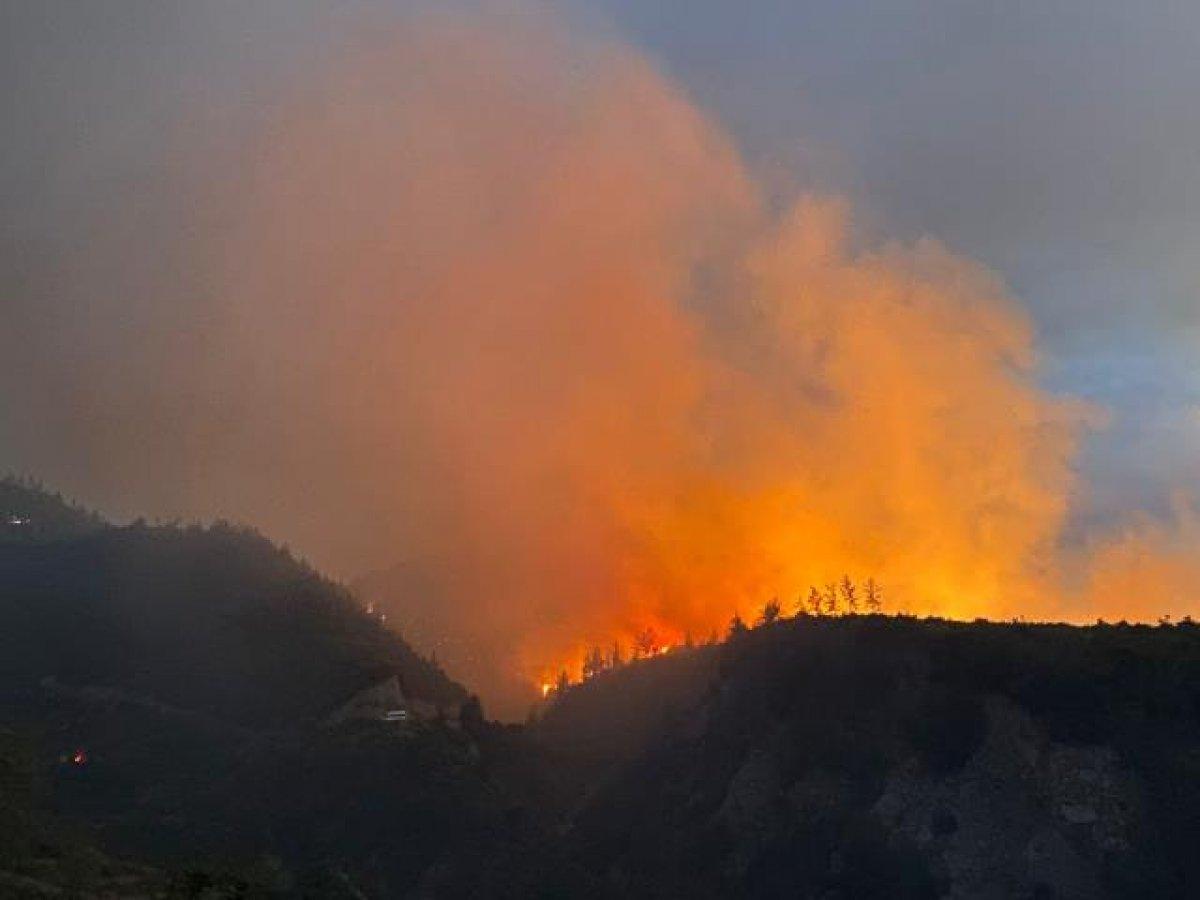 Ciğerlerimiz yanıyor: Hangi illerde yangın çıktı? 29 Temmuz yangında son durum...