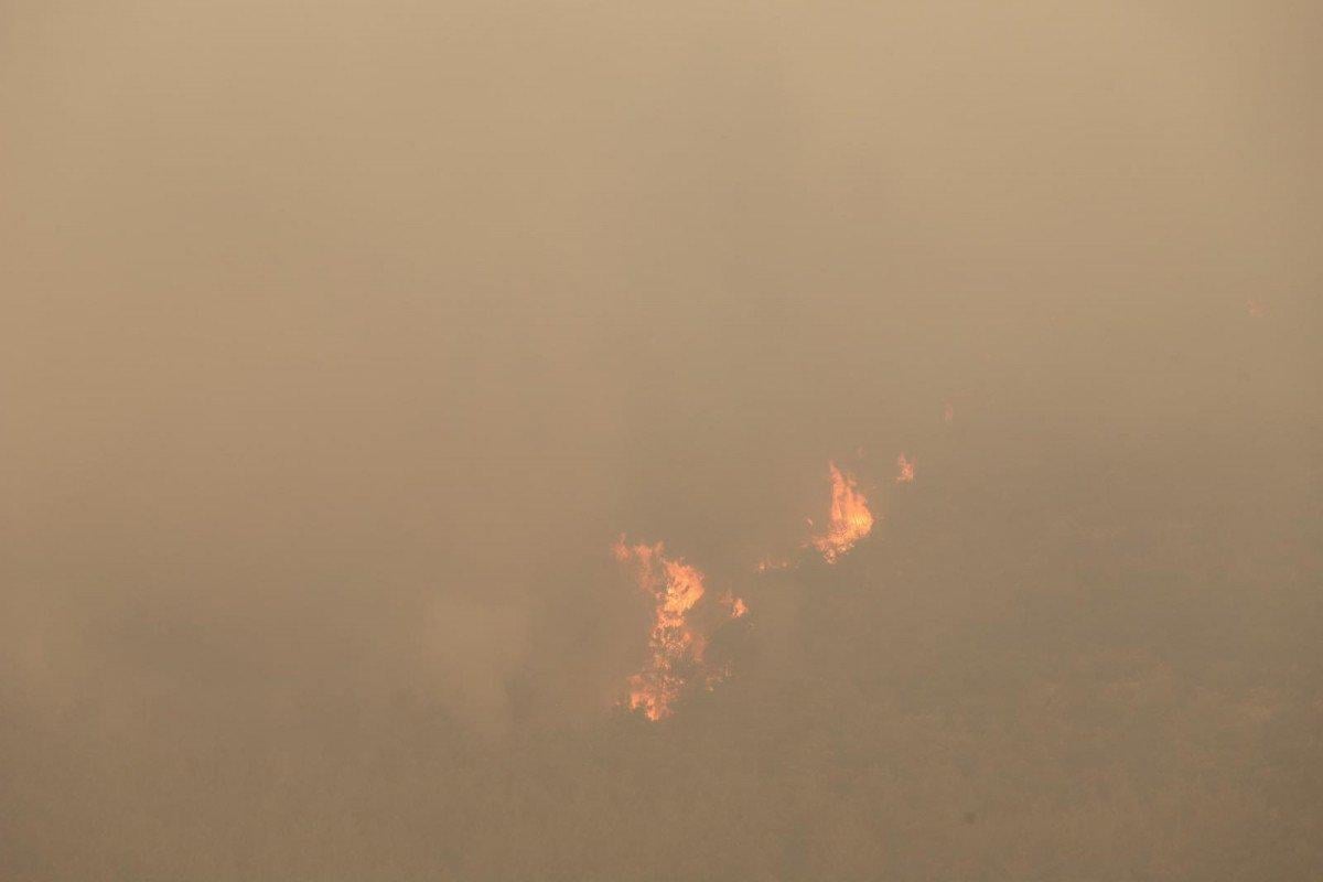 Mersin'in Aydıncık ilçesinde orman yangını sürüyor