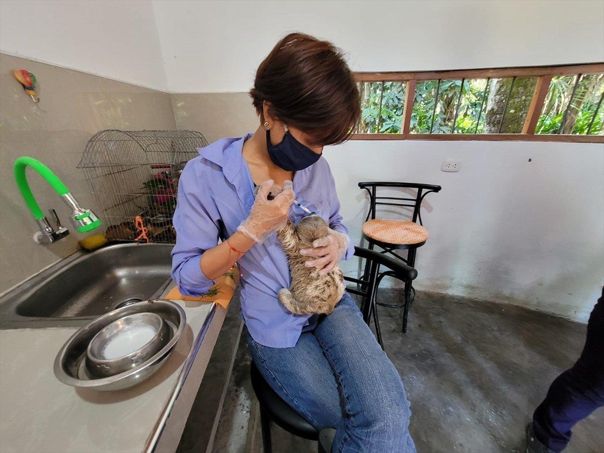 TİKA'dan Peru Amazonları'nda biyoçeşitliliğin korunmasına destek