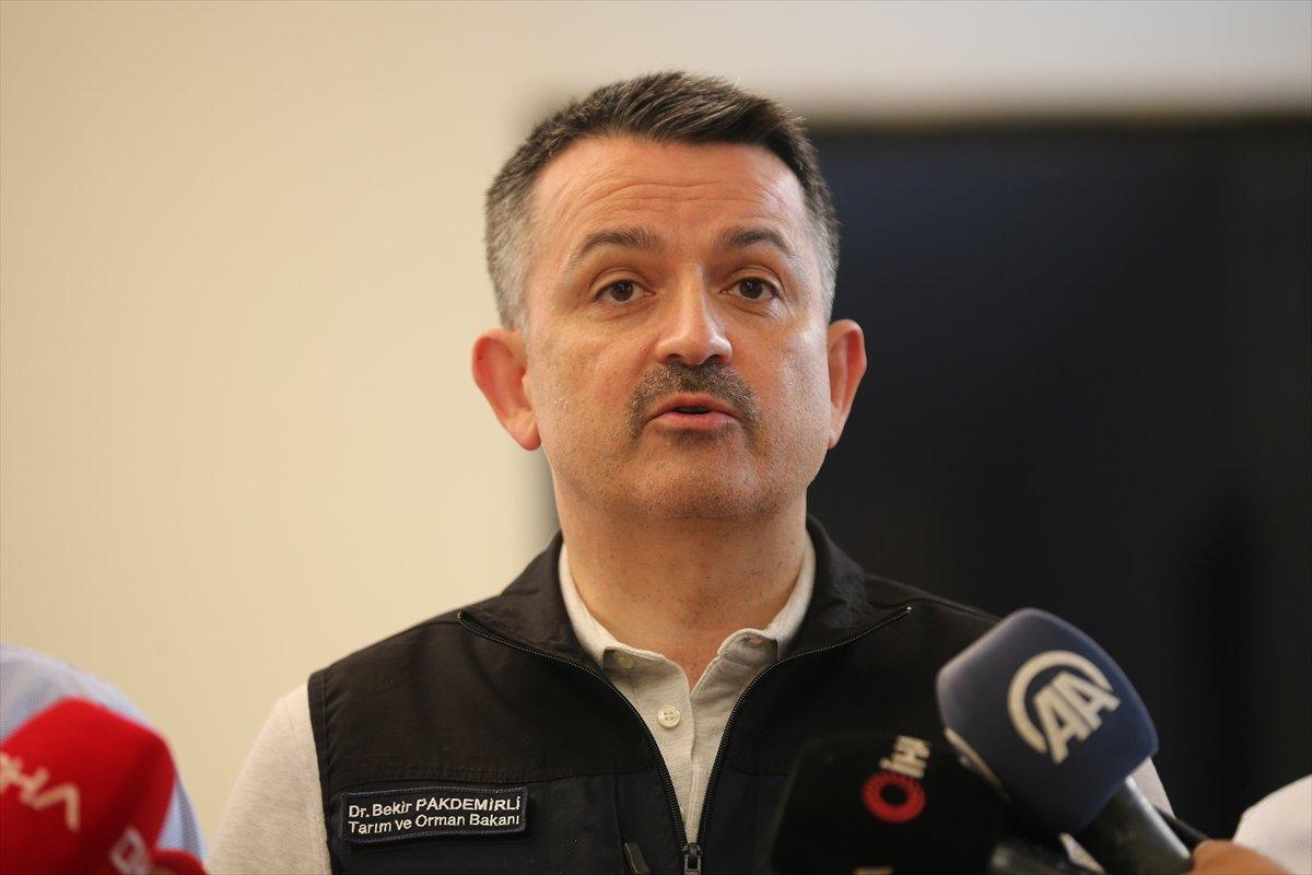 Manavgat'taki yangının bilançosu