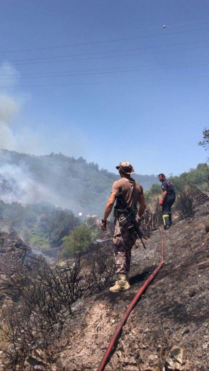 Kocaeli'de özel harekat polisi, kaplumbağayı yanmaktan kurtardı