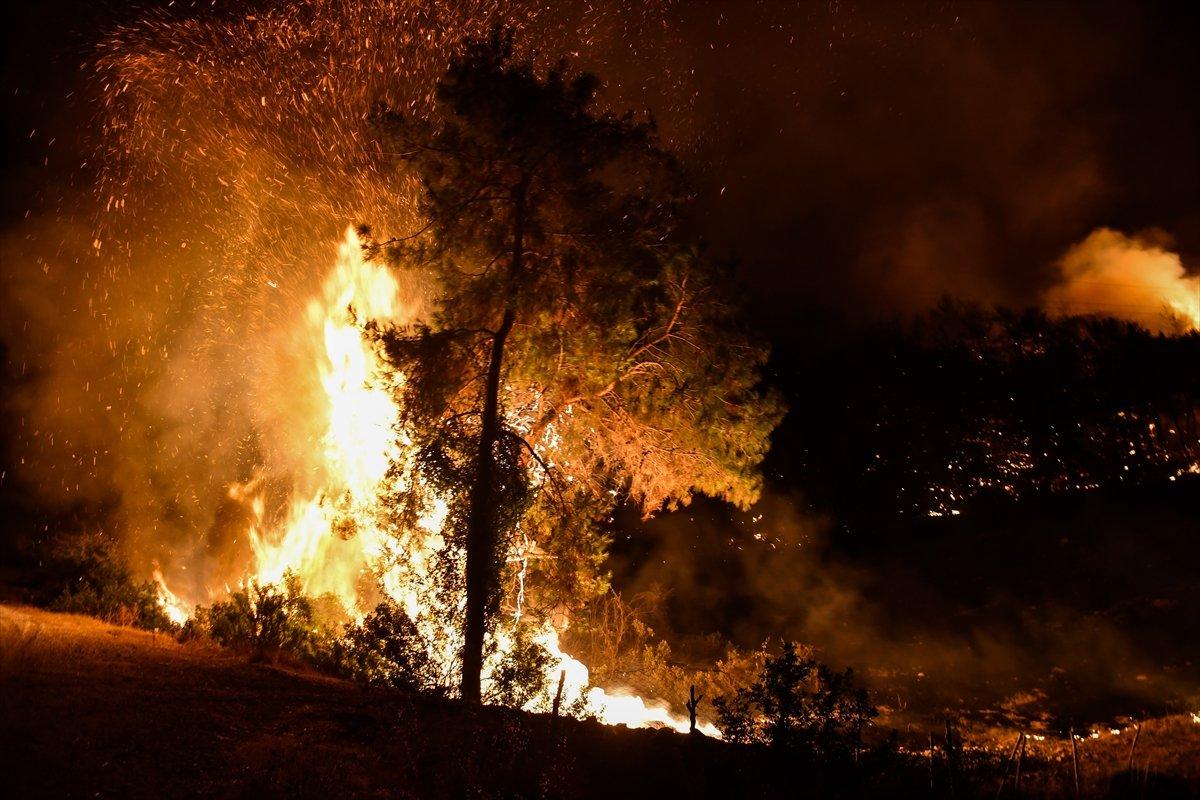 Osmaniye'de yangın: 5 şüpheli gözaltına alındı