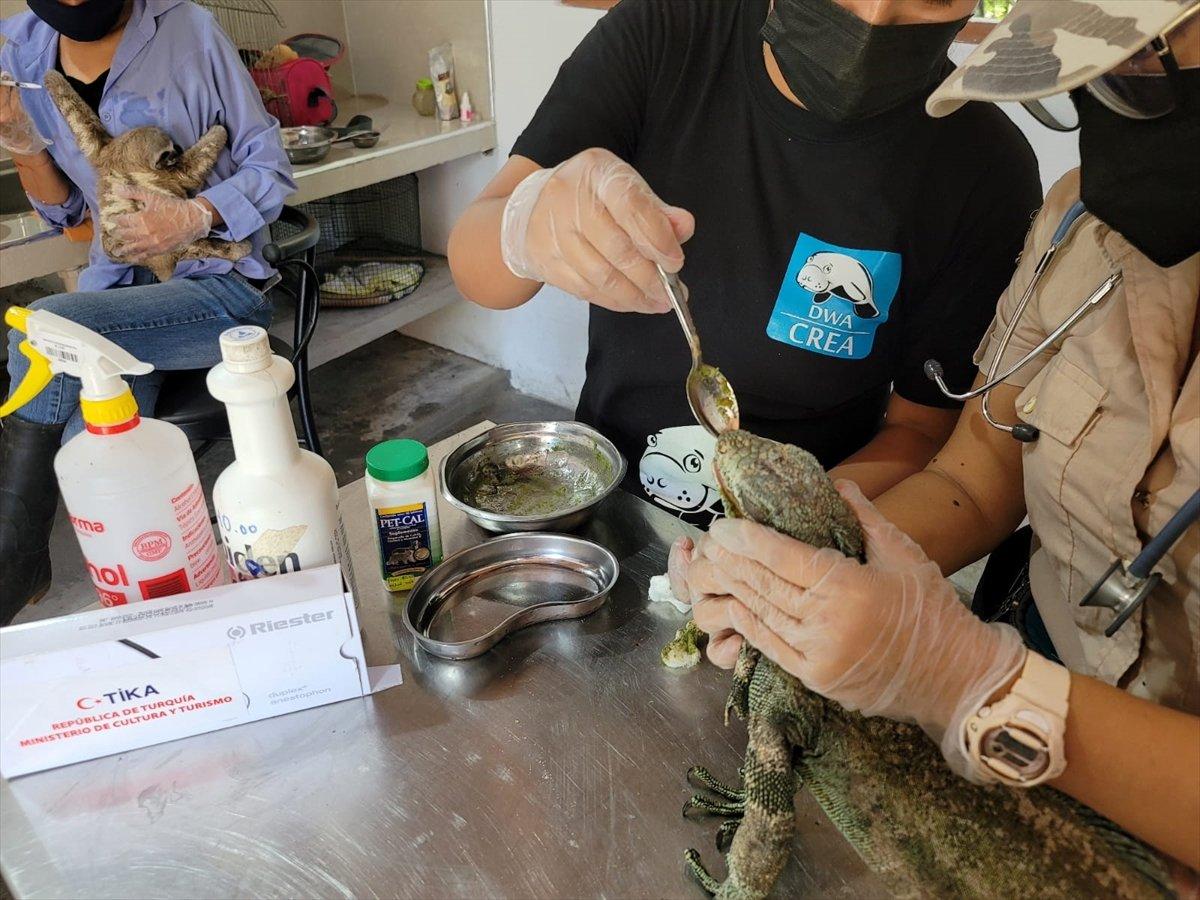 TİKA'dan Peru Amazonları'nda biyoçeşitliliğin korunmasına destek