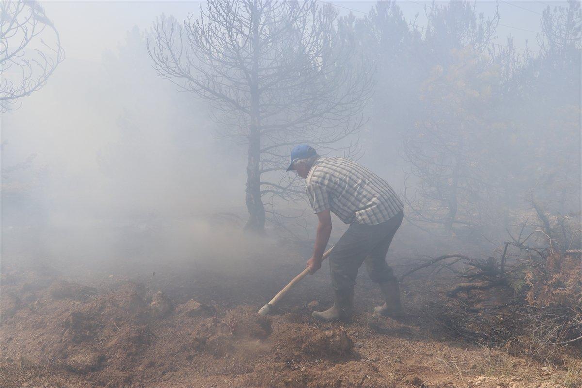 Karaman’da orman yangını