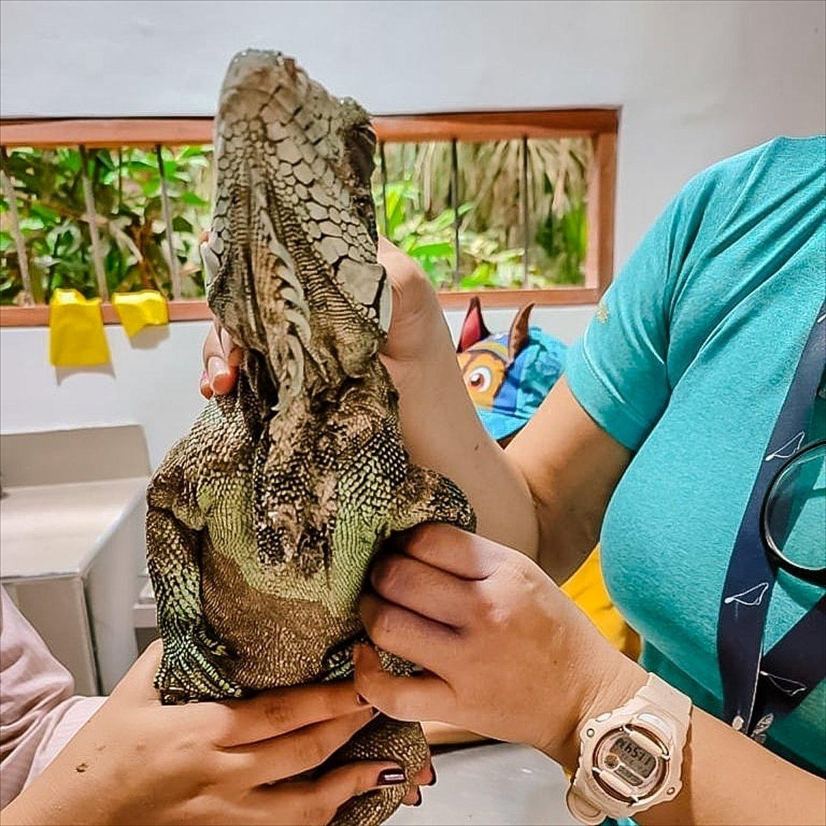 TİKA'dan Peru Amazonları'nda biyoçeşitliliğin korunmasına destek