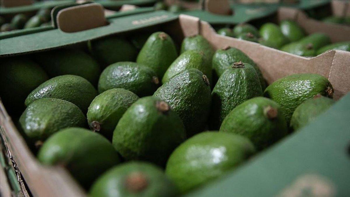 10 doğal antidepresan