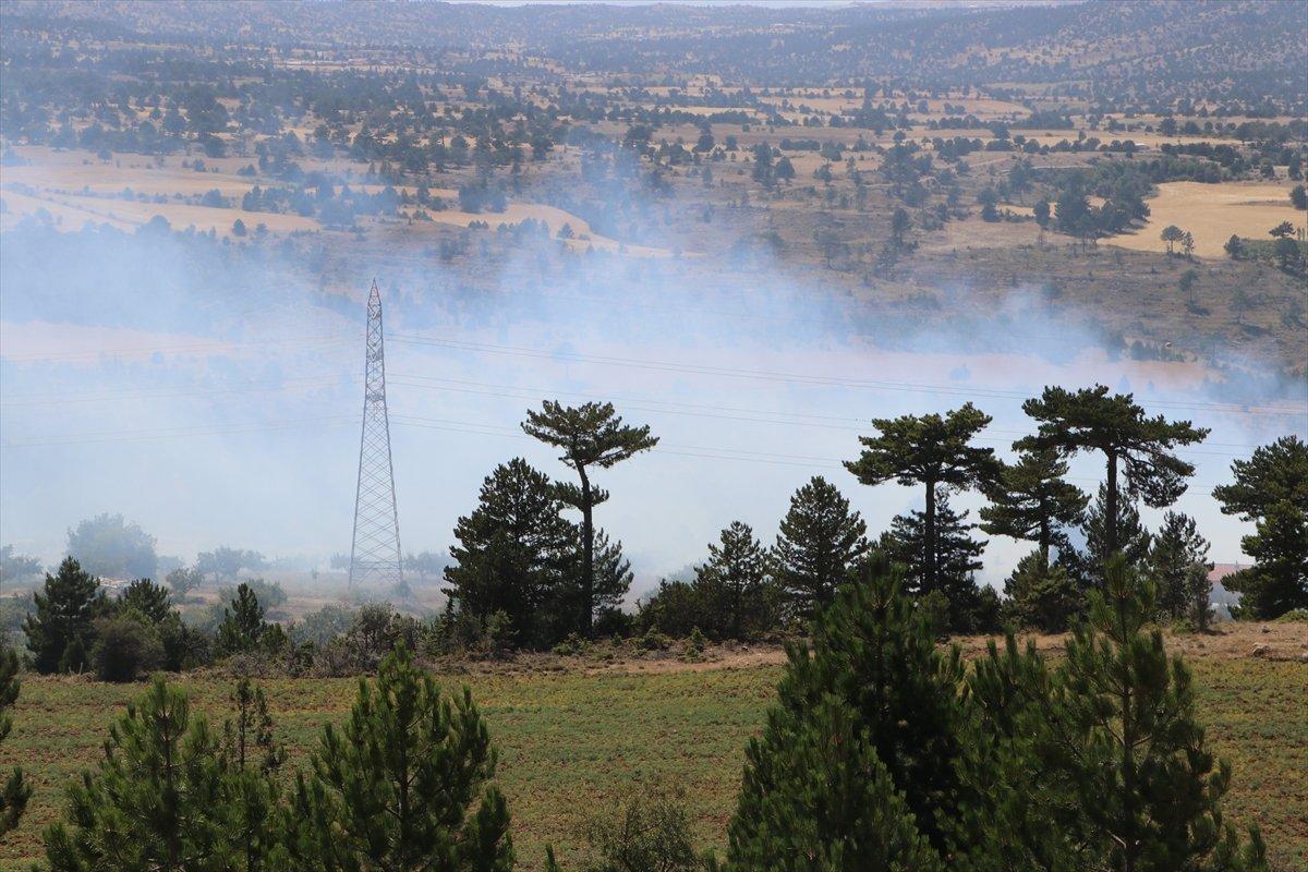 Karaman’da orman yangını