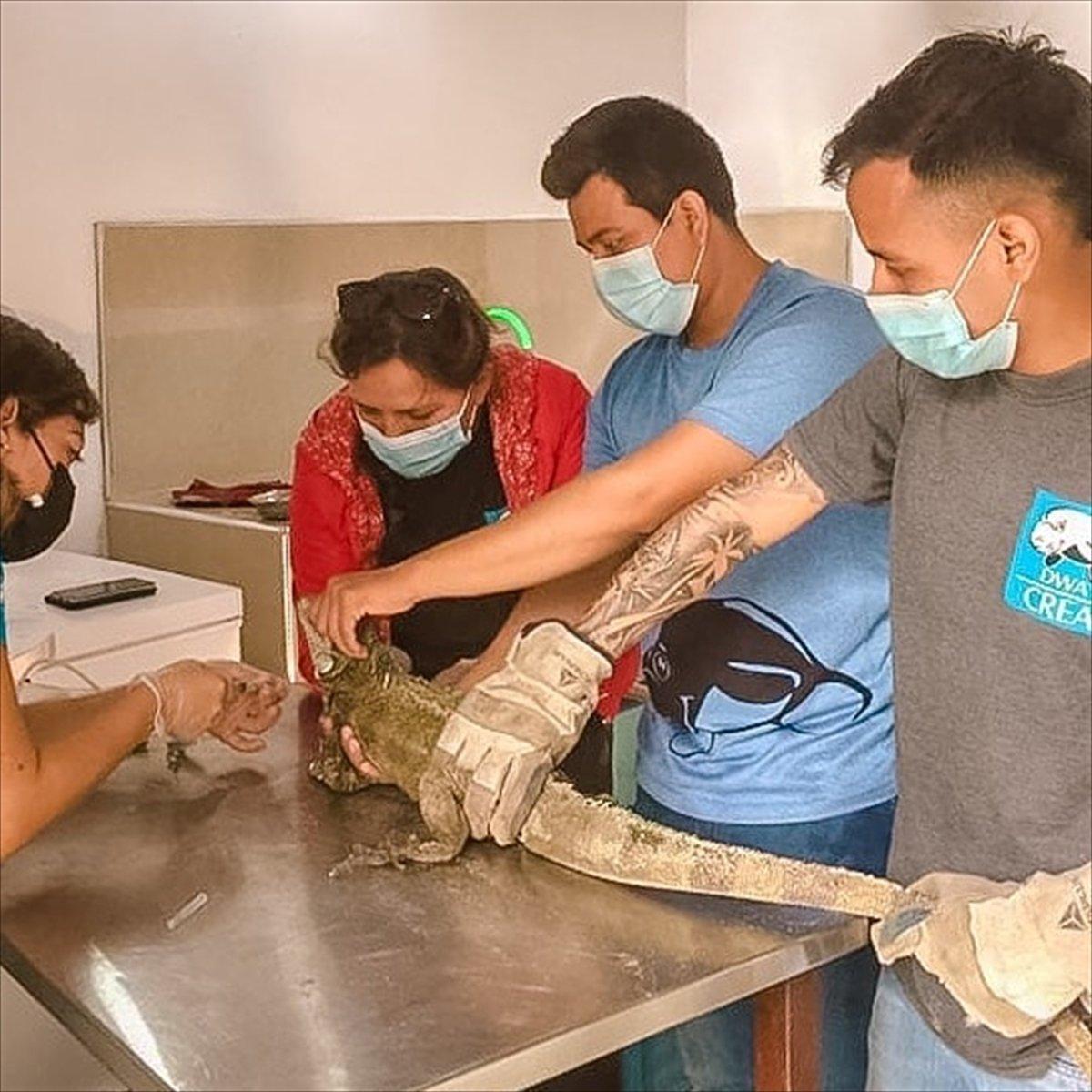 TİKA'dan Peru Amazonları'nda biyoçeşitliliğin korunmasına destek