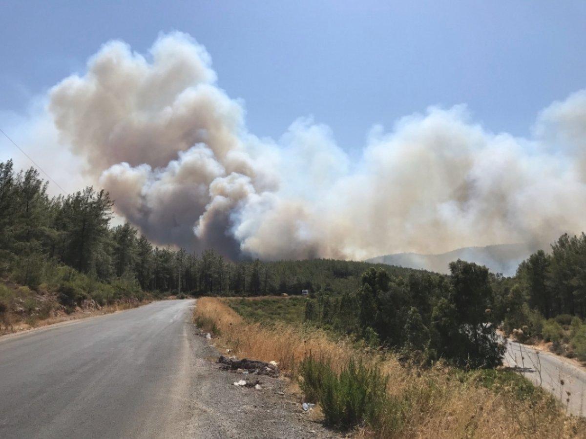 Bodrum ve Didim'de orman yangını çıktı