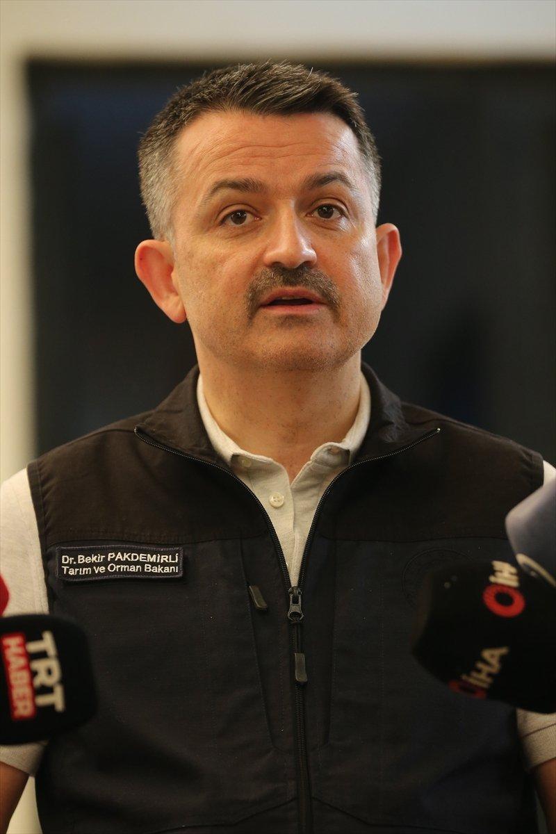 Manavgat'taki yangının bilançosu